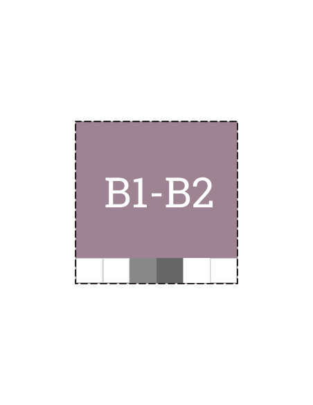 Επίπεδα B1-B2